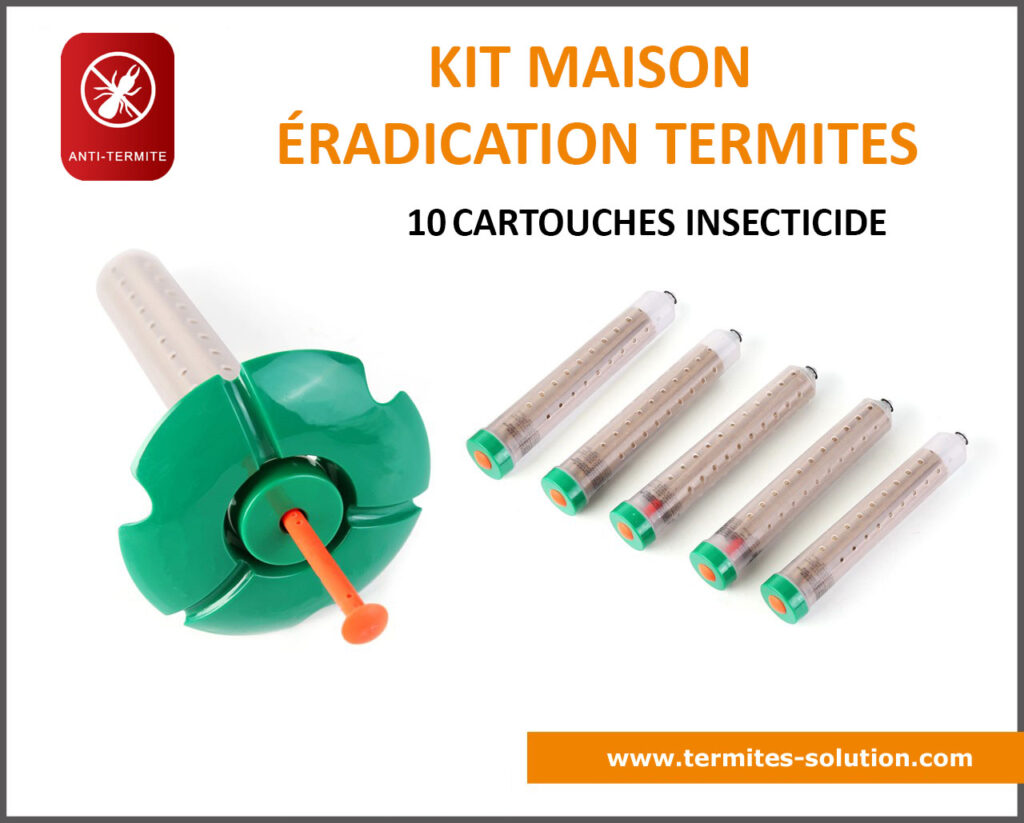 Kit maison éradication termites x10