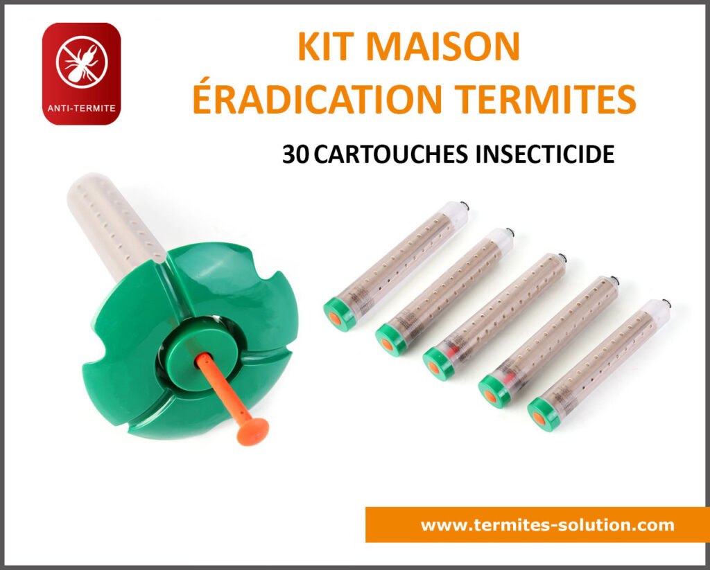 Kit maison éradication termites x30