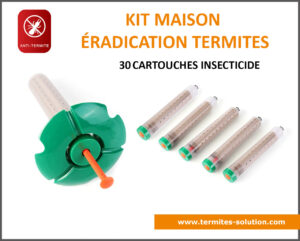 Kit maison éradication termites x30