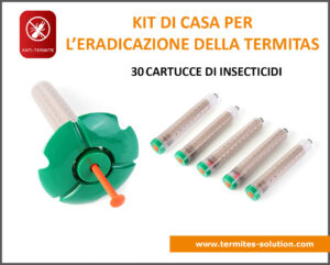 Kit maison éradication termites x30